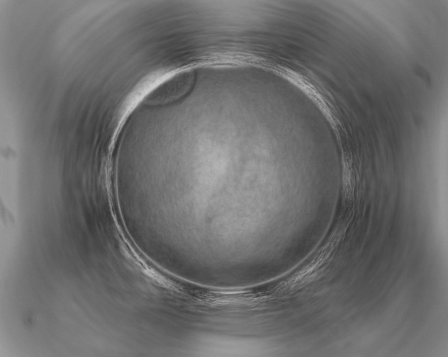 X0000091101486200708061408