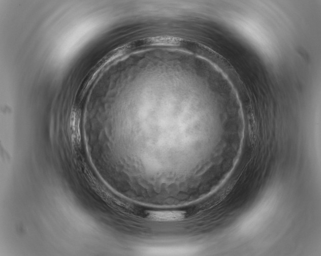 X0000091101487200708061408