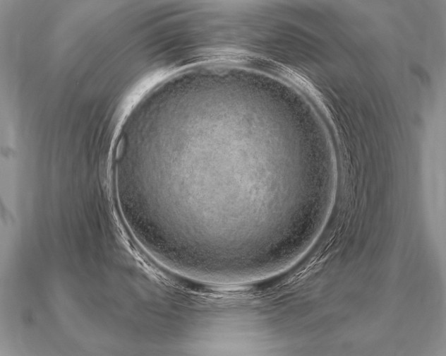 X0000091101488200708061408