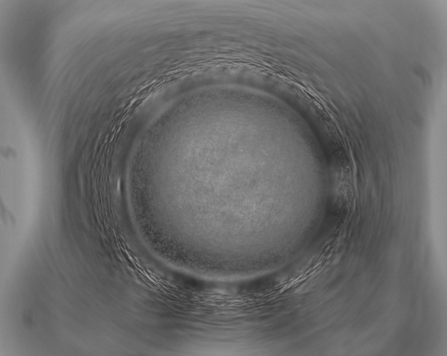 X0000091101489200708061407