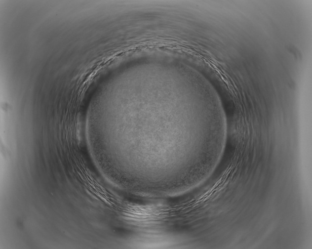 X0000091101490200708061407