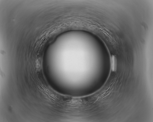 X0000091101491200708061407