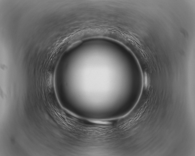 X0000091101492200708061407