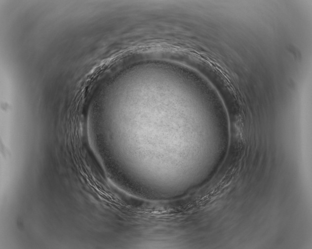 X0000091101493200708061407