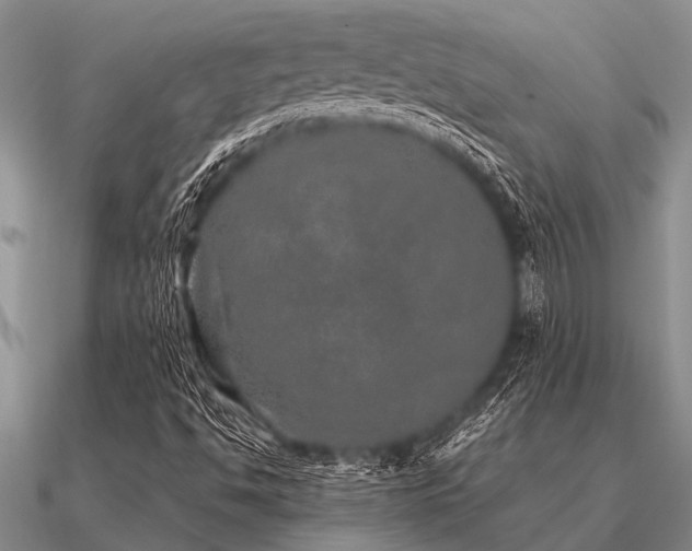 X0000091101494200708061407