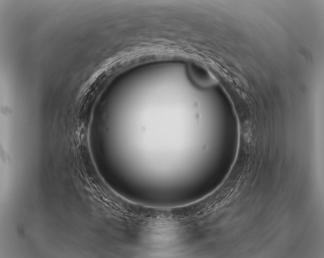 X0000091101495200708061407