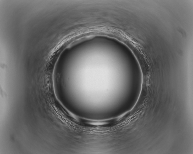 X0000091101496200708061407