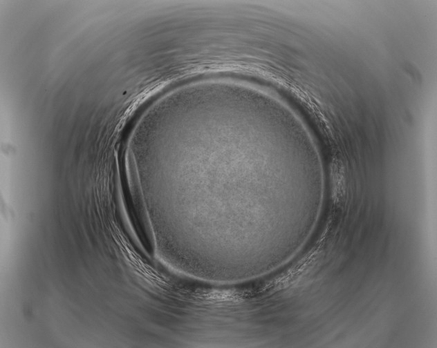 X0000091101497200708061408