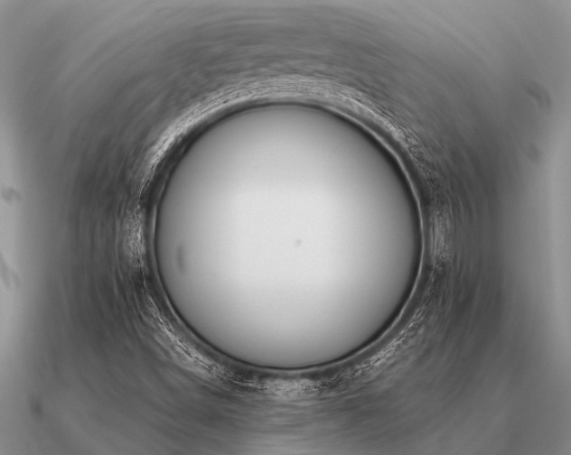 X0000091101498200708061408