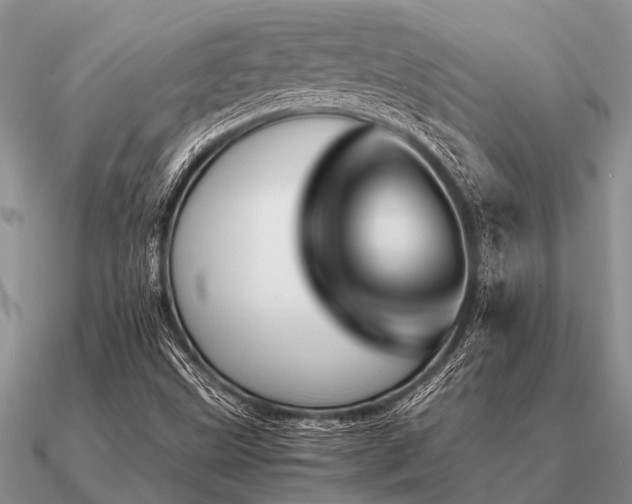 X0000091101499200708061408