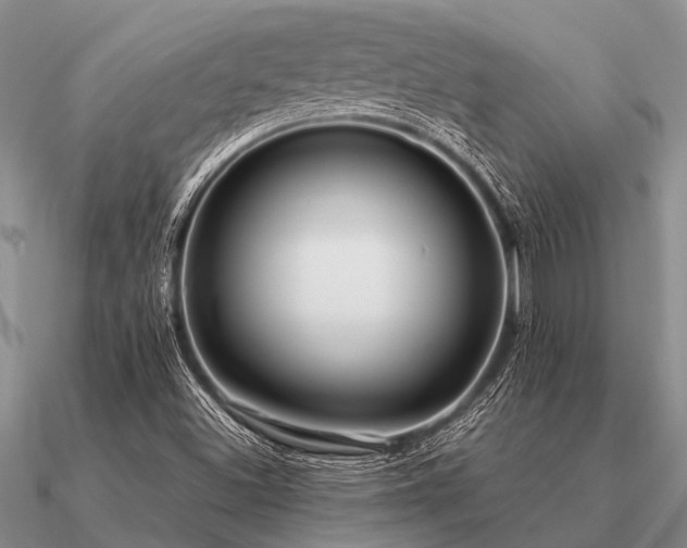 X0000091101500200708061408