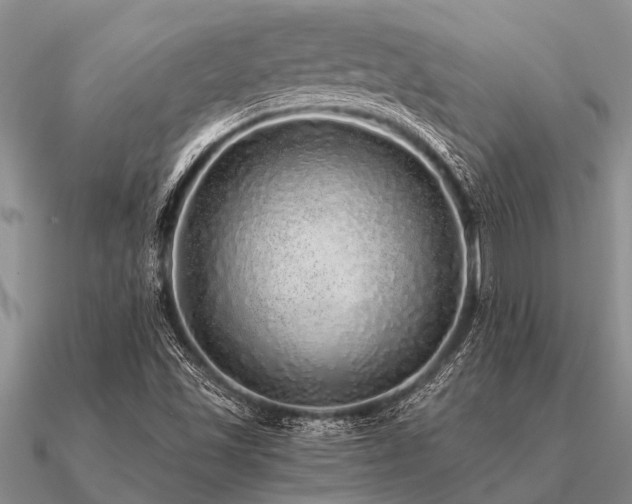 X0000091101501200708061408