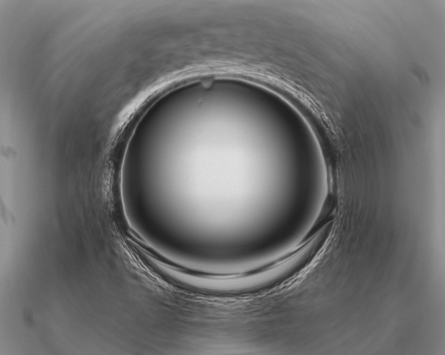 X0000091101502200708061408