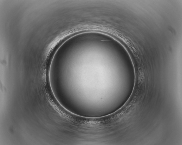 X0000091101503200708061408