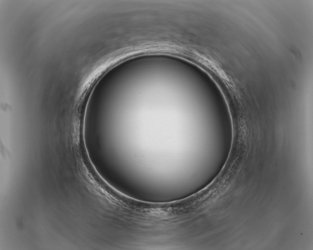 X0000091101504200708061408