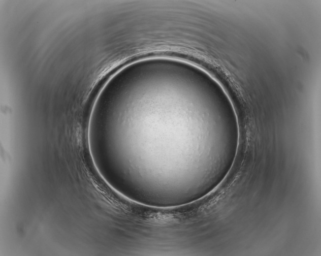 X0000091101505200708061408
