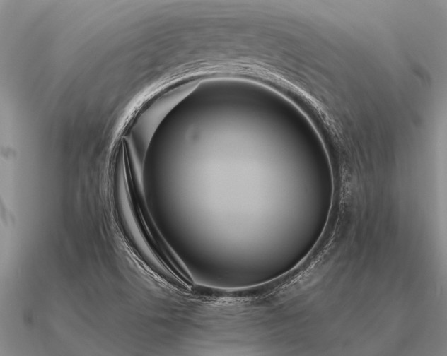 X0000091101506200708061408
