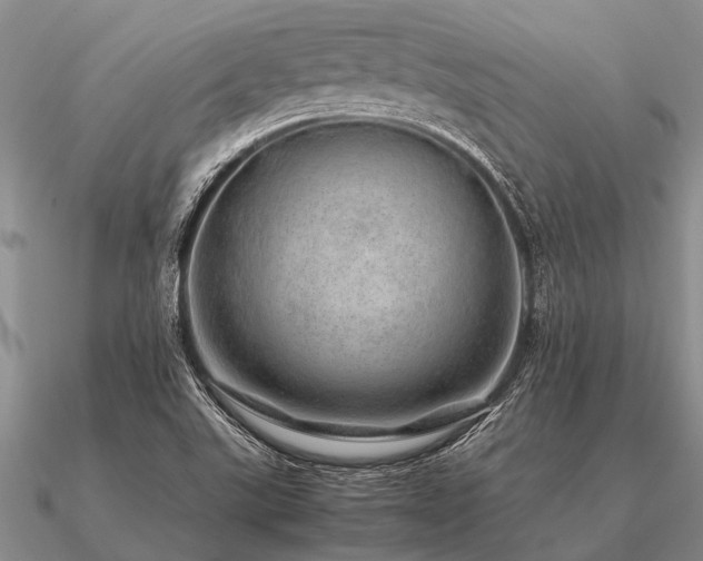 X0000091101507200708061408