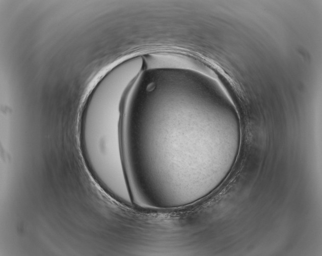 X0000091101508200708061408