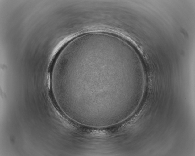 X0000091101509200708061408