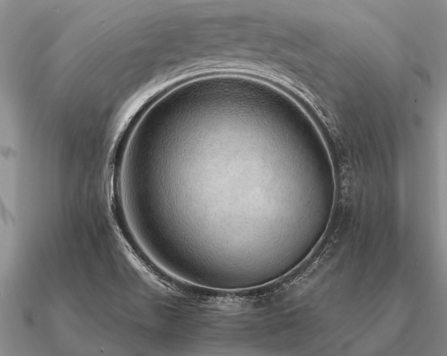 X0000091101511200708061408