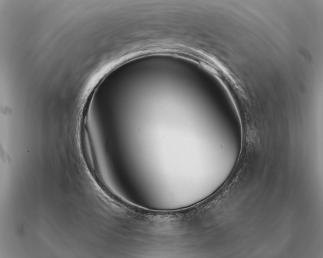 X0000091101512200708061408