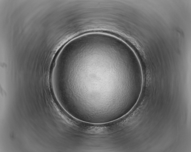 X0000091101513200708061408