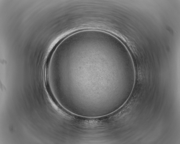 X0000091101515200708061408