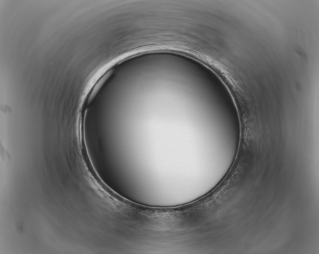 X0000091101516200708061408