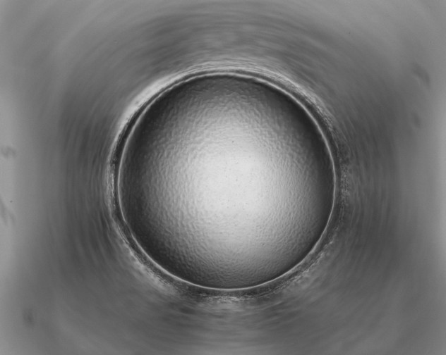 X0000091101517200708061408