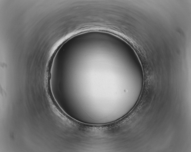 X0000091101518200708061408