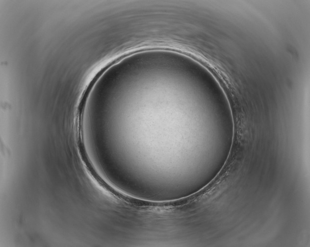 X0000091101519200708061408