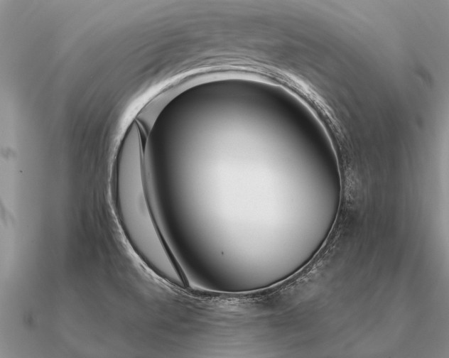 X0000091101520200708061408