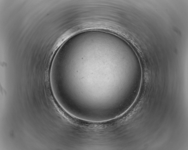 X0000091101521200708061408