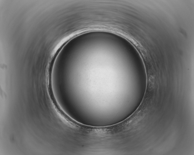 X0000091101523200708061408