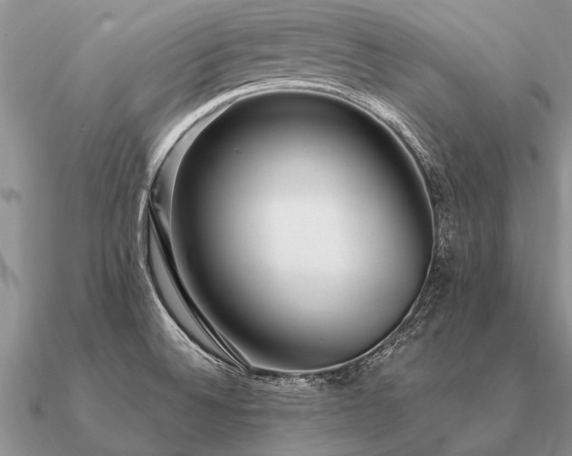 X0000091101524200708061408