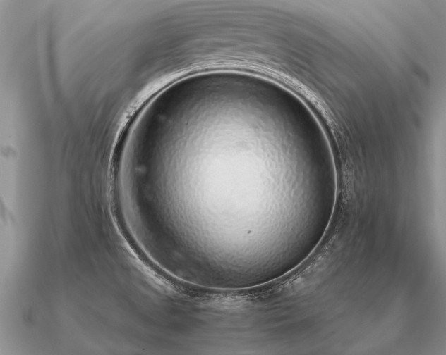 X0000091101525200708061408