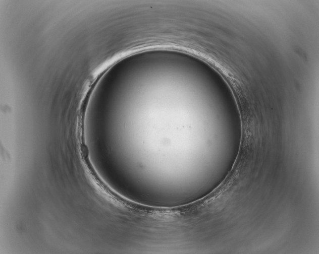 X0000091101526200708061408