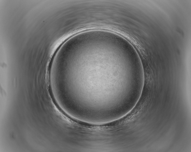 X0000091101527200708061408