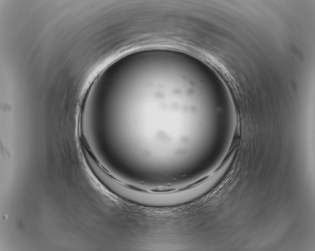 X0000091101528200708061408