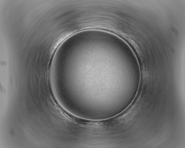 X0000091101529200708061408