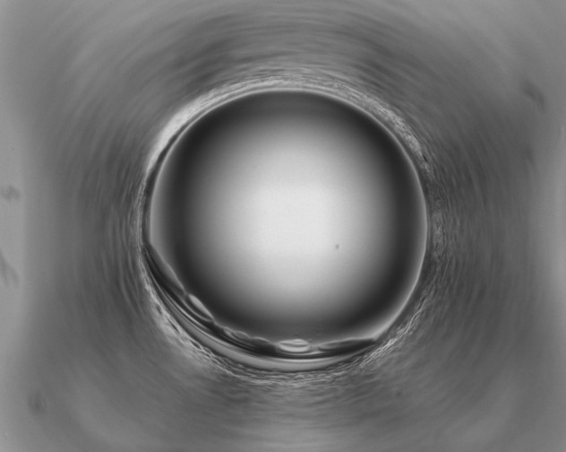 X0000091101530200708061408