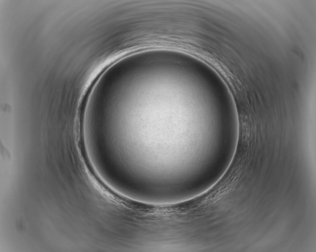 X0000091101531200708061408