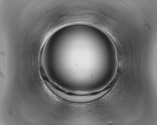X0000091101532200708061408