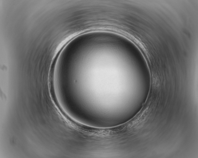X0000091101533200708061408