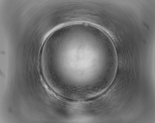 X0000091101534200708061408