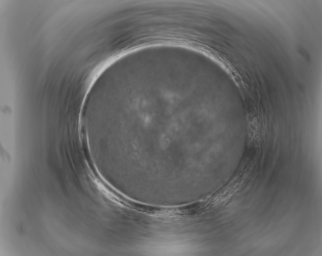 X0000091101535200708061408