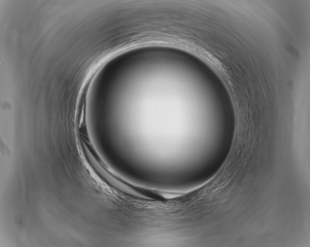 X0000091101536200708061408