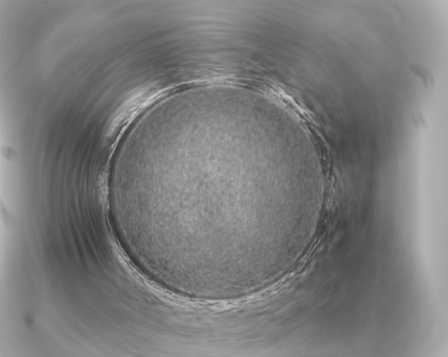 X0000091100002200708131114