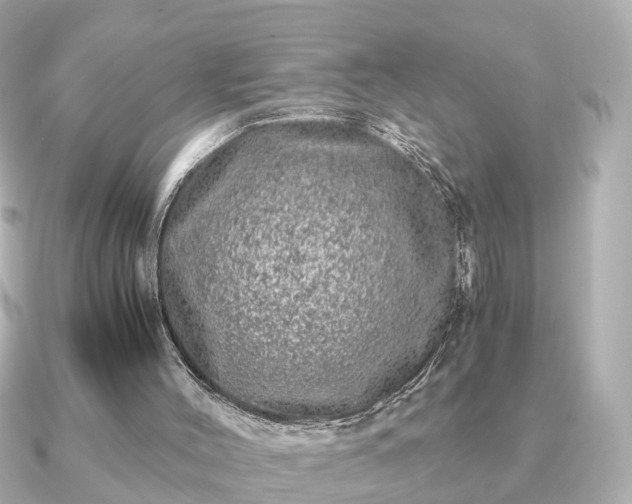 X0000091100004200708131114